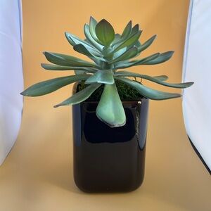 Artificial succulent and dark brown ceramic vase